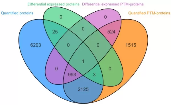 figure 2. Venn plot for differential expression analysis of proteins